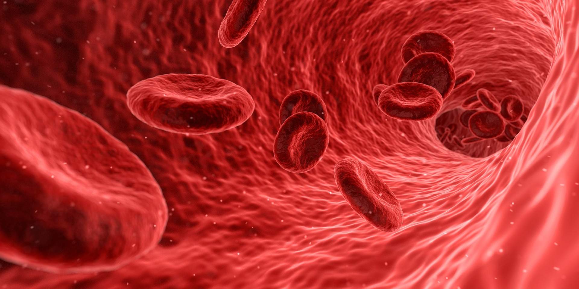 Genetický test – Trombóza, srážlivost krve (Leidenská (trombofilní) mutace)